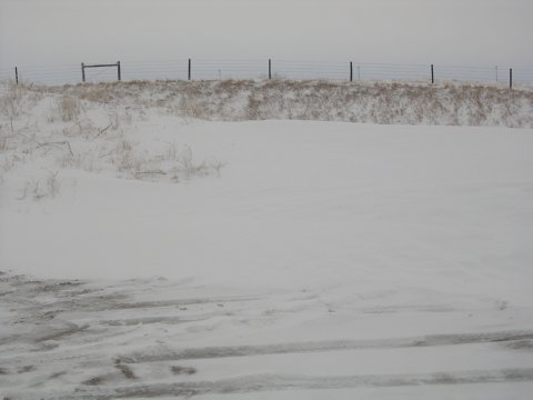 03212006 (1)